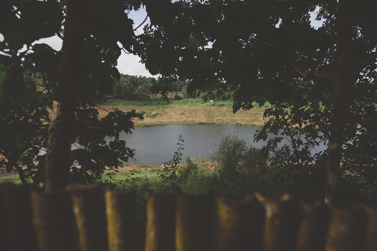 Riverine Springs Wadakkanchery Exteriér fotografie