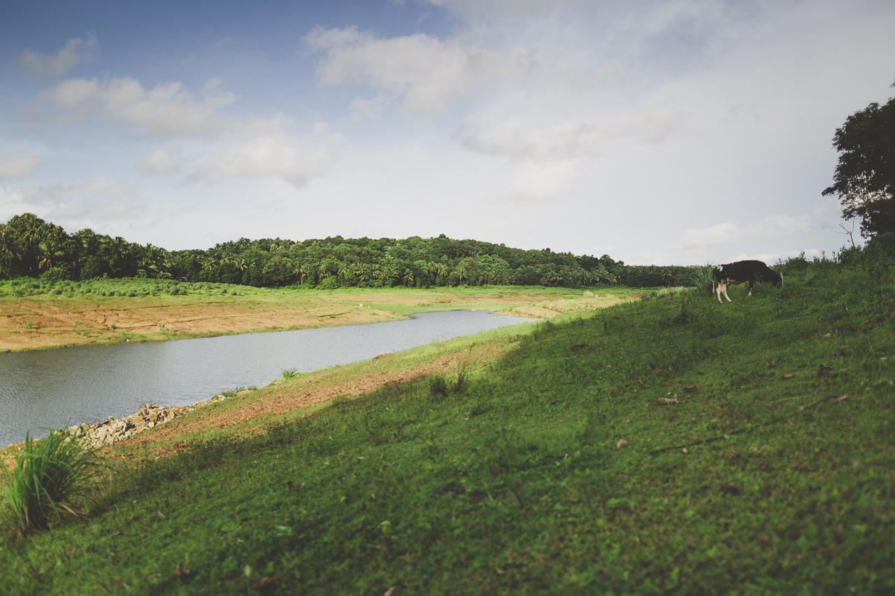 Riverine Springs Wadakkanchery Exteriér fotografie